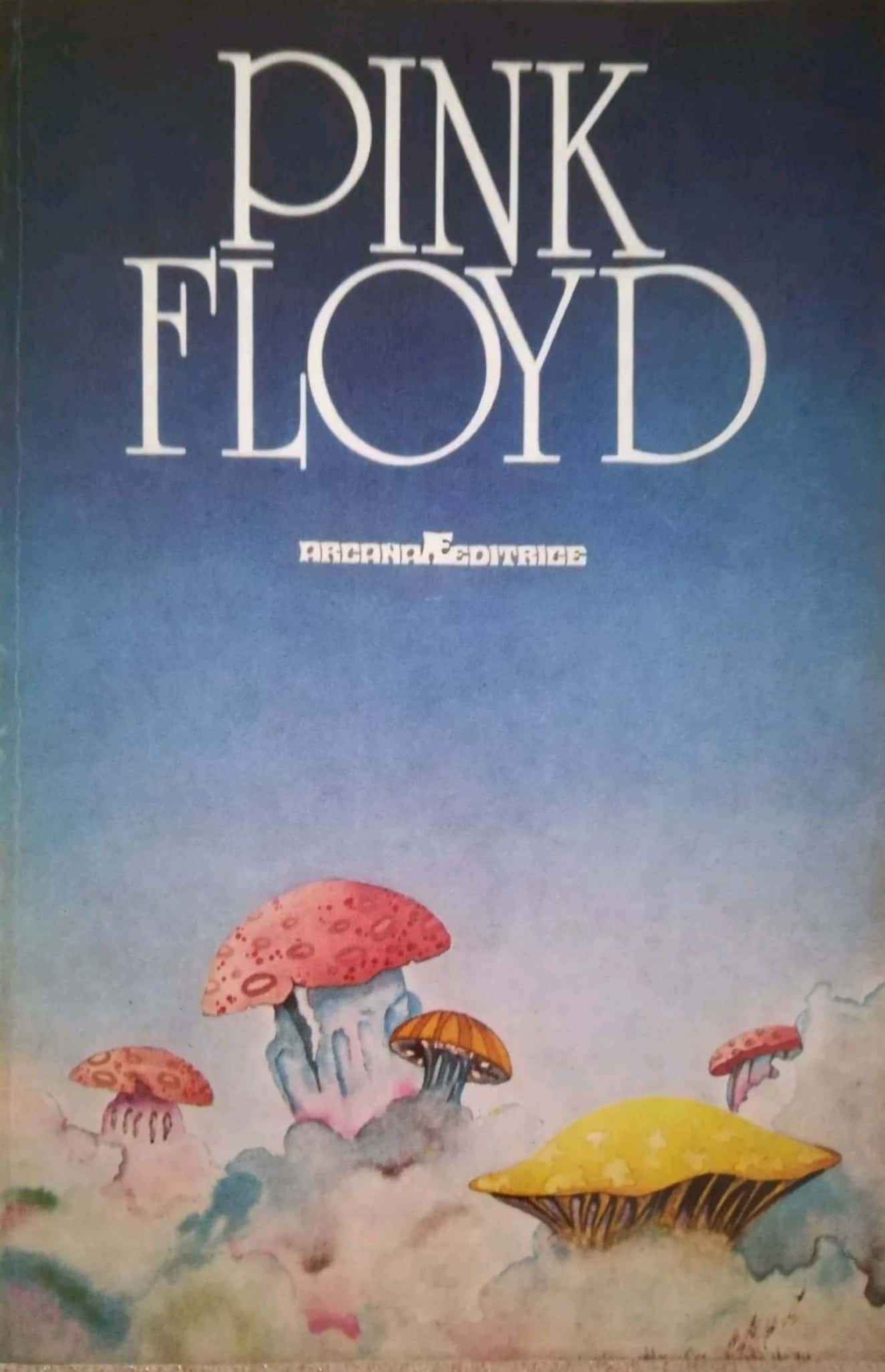 Il primo libro sui Pink Floyd pubblicato in Italia