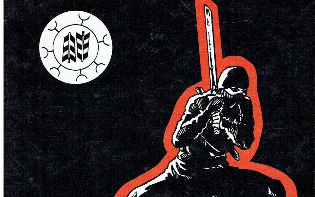 …su eBay ci sono copie del raro libro sui Ninja di Bruno Abietti