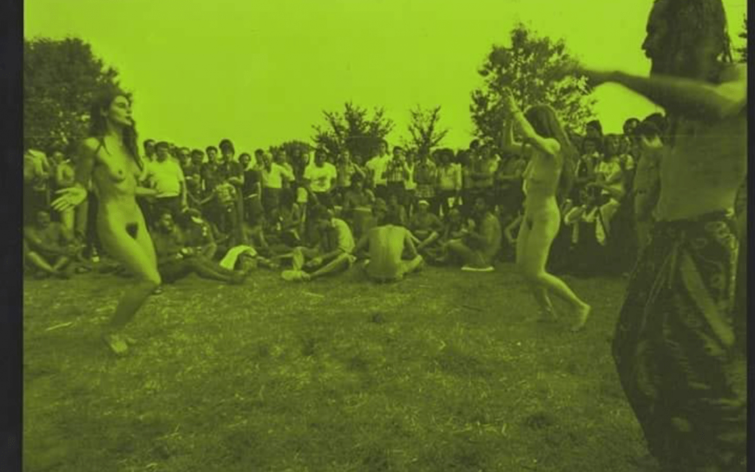 Un pezzo di cultura Beat: “La festa del Parco Lambro” di Franco Ortolani (1978)