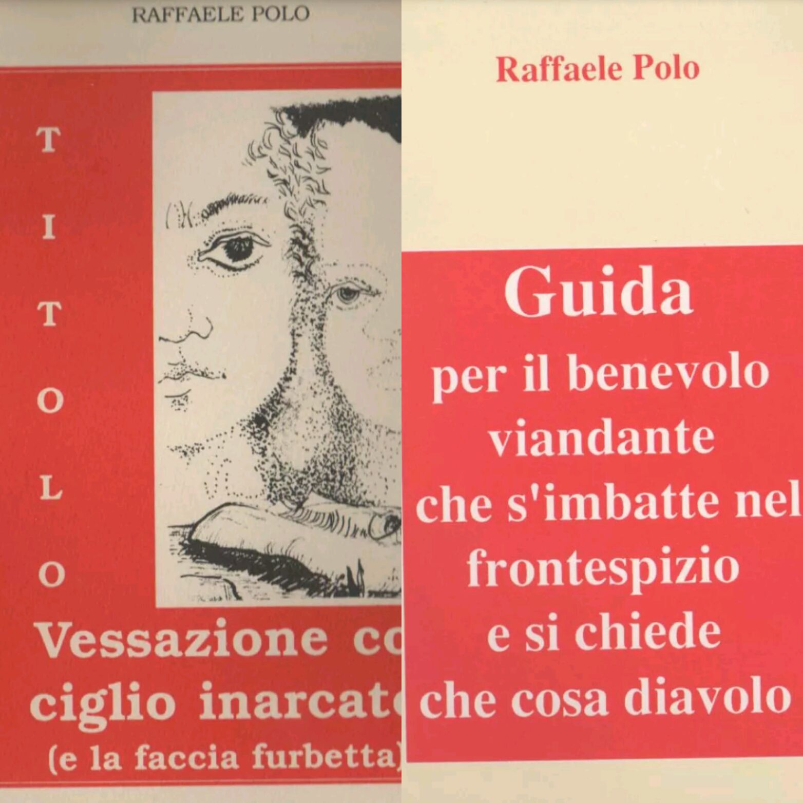 …su eBay ci sono due singolari e rari libri di Raffaele Polo
