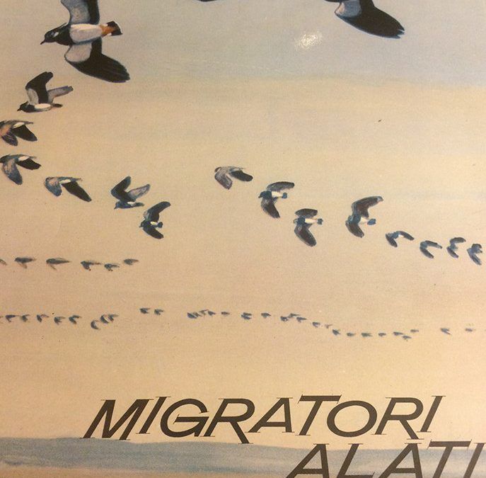 “Migratori Alati” di Mario Rotondi al mercatino