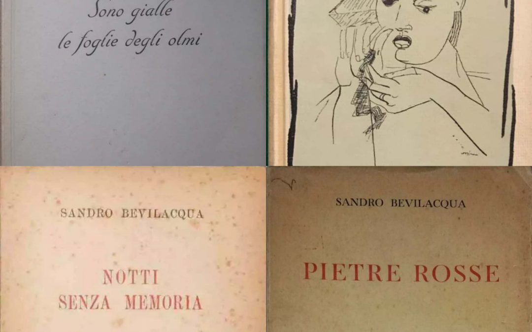 Diamo uno sguardo ai primi libri (e rispettive valutazioni) di Sandro Bevilacqua