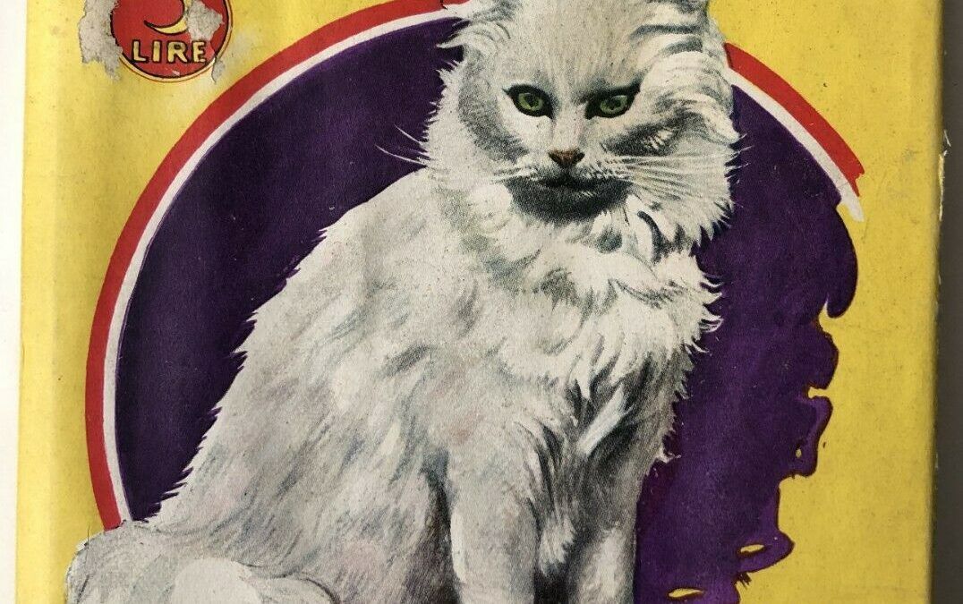 “La gatta persiana” di Alessandro Varaldo in scadenza l’asta su eBay: rarissimo