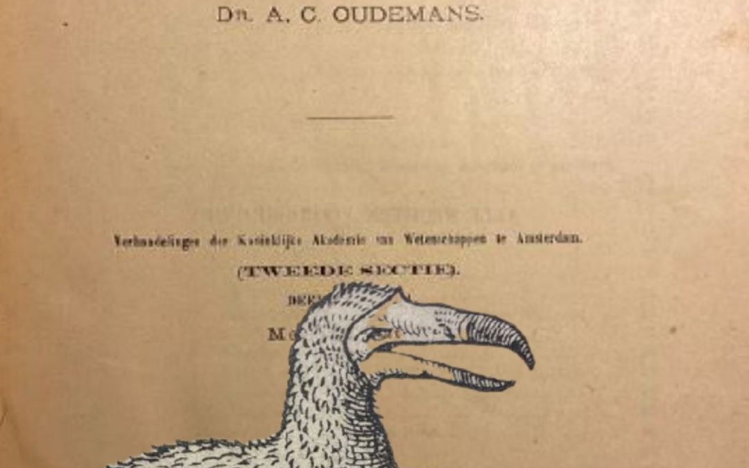 “Dodo-Studiën” di A. C. Oudemans (Müller, 1917): uno dei libri più ricercati sul mitico Dodo