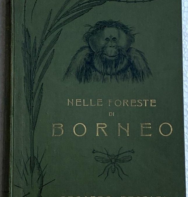 “Nelle foreste di Borneo” di Odoardo Beccari (Landi 1902): alla ricerca della mitica prima edizione in 250 copie!